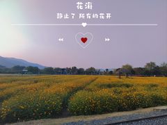 -径山花海
