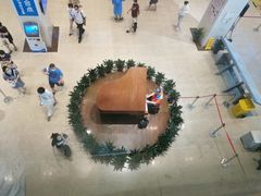 -上海交通大学医学院附属瑞金医院(总院)