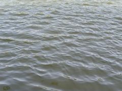 -二一九公园