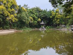 -深圳国际园林花卉博览园