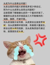 -Bollins波林丝•专研护发中心