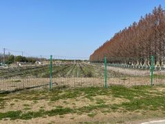 -嘉北郊野公园