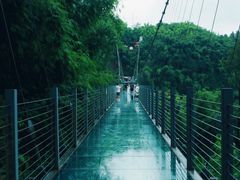 -川西竹海景区