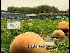 -长春农业博览园