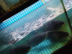 -翠茗农庄土菜馆(天目湖店)