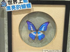 -深圳龙华星河COCO City(民治店)