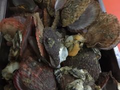 -胶东海鲜大排档(北太平庄店)