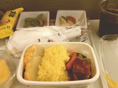 -全日本空输株式会社(上海办事处)