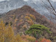 -秦岭终南山世界地质公园翠华山景区