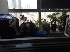 -BHG Market Place(水游城店)