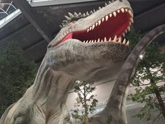 -湖南省地质博物馆