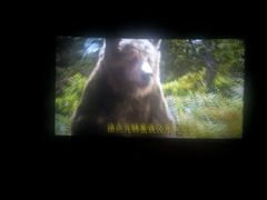 -万达影城(保定万博广场激光IMAX店)
