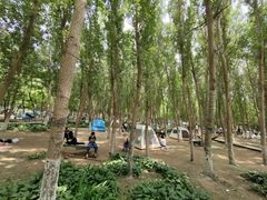 -长白岛森林公园