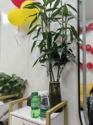 -TRIMS HAIR 修剪造型·烫染接发