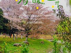 -堤角公园