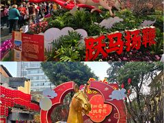 -越秀西湖花市(广州城市广场花卉店)