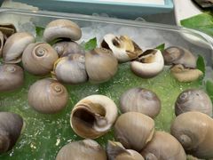 -凯里亚德酒店海鲜自助餐厅(大庆路店)