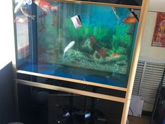 -宜华康盲人按摩(马连洼旗舰店)