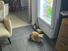 -布瑞琳洗衣(西堤红山店)