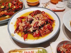 -杨氏青龙虾·羊蝎子(金盛路总店)