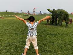 -首开·常青藤二期