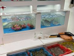 -金砂阿洲鱼册店