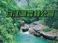-广州白江湖森林公园