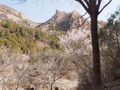-北京凤凰岭