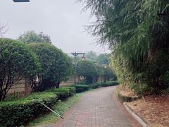 -咸宁万豪温泉谷度假区