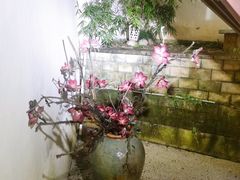 -宋宴(虎跑店)