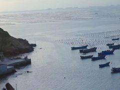 -枸杞岛