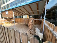 -廊坊固安福朋喜来登酒店