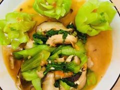 -爱月宝月嫂·育儿嫂