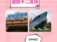 -上海海昌海洋公园-冰山北极馆
