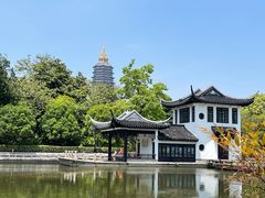 -红梅公园
