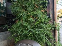 -香满楼(临安路店)