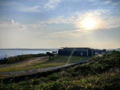 -涉地可支