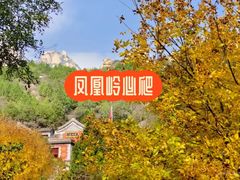 -北京凤凰岭