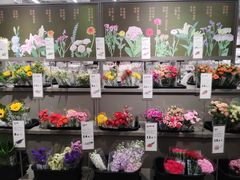 -鹿岛会员店(熙地港店)