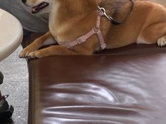 -农畉LONFOOD(福田星河COCOPark店)