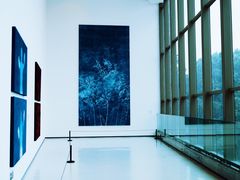 -四川美术学院美术馆