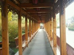 -中国中医科学院望京医院(院本部)