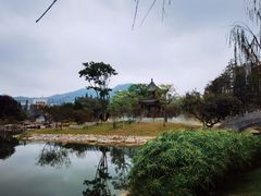 -四海公园(南山区)