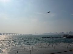 -星海广场