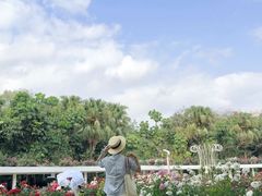 -人民公园(罗湖区)