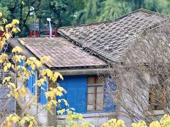 -乌山风景区