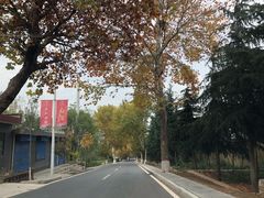 -终南山国家森林公园