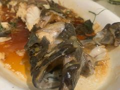 清蒸石斑鱼-泮金大塘(北二七路店)