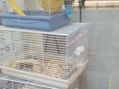 -FAELING PETS美天灵宠物(富力广场店)