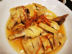 -千灯盛汇·头牌粤菜(致越优城店)